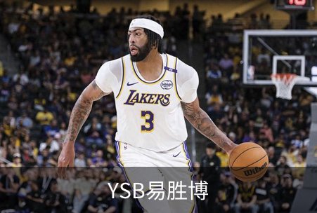 YSB易胜博概况